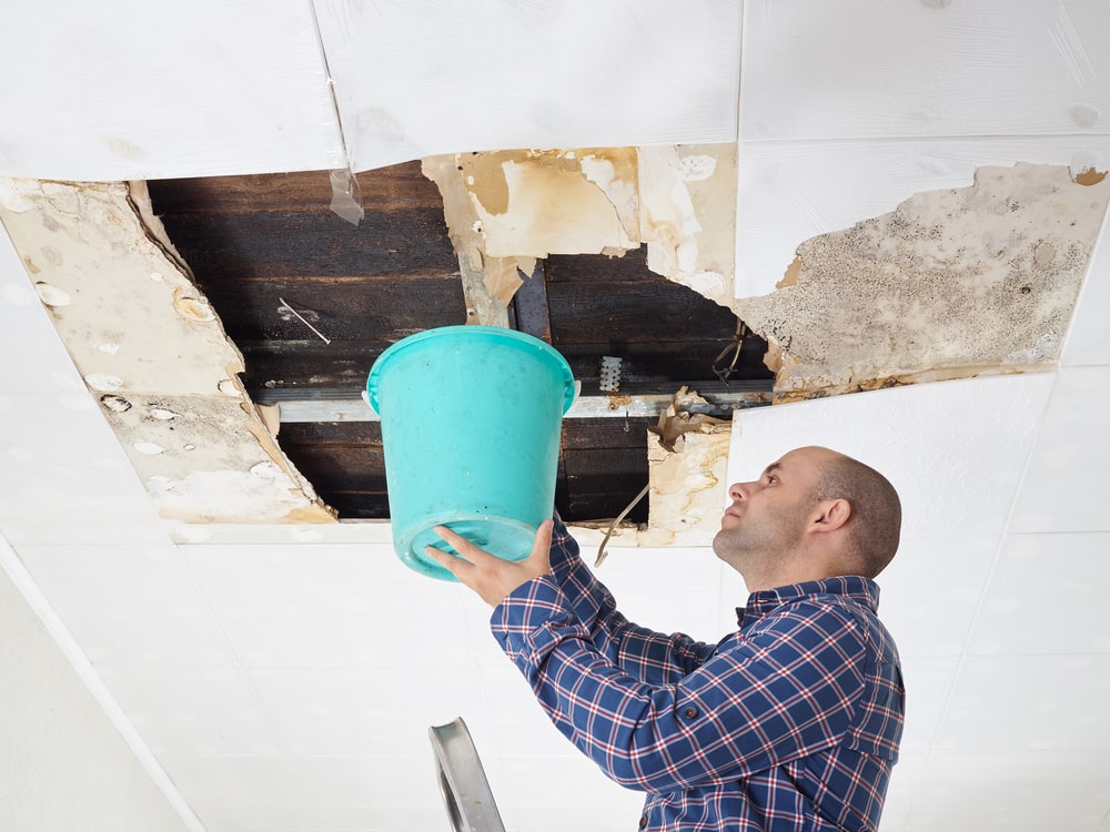 Davie Public Adjuster assessing water damage in a home