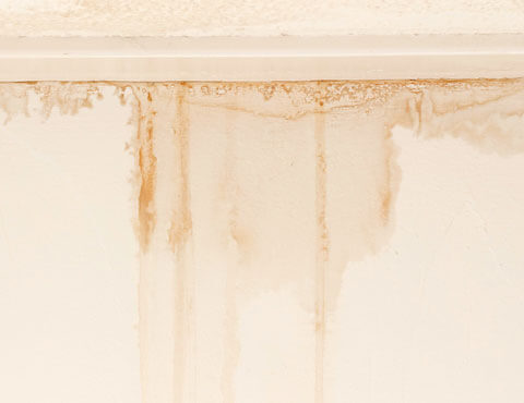 Water damage causing brown marks on house wall
