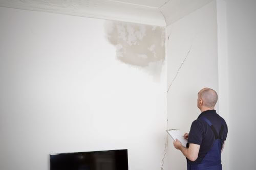 a public adjuster examining mold damage in a home