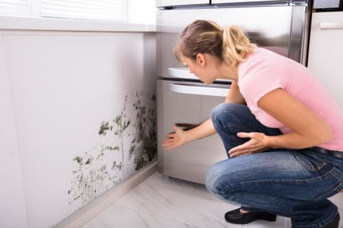 woman looking at mold damage that should be inspected by a public adjuster