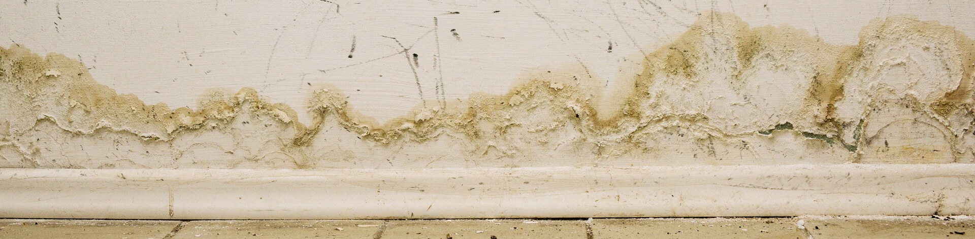 a hendry county public adjuster will help with this mold damage