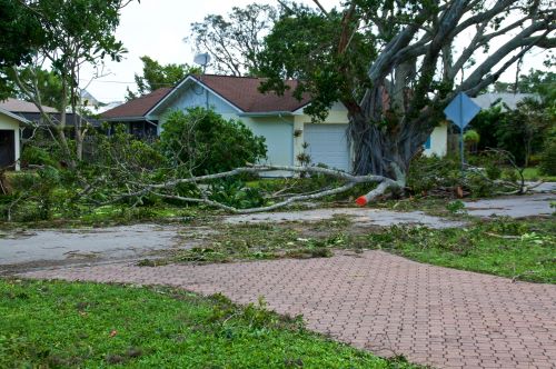 A tree blown down during a hurricane damages a home.