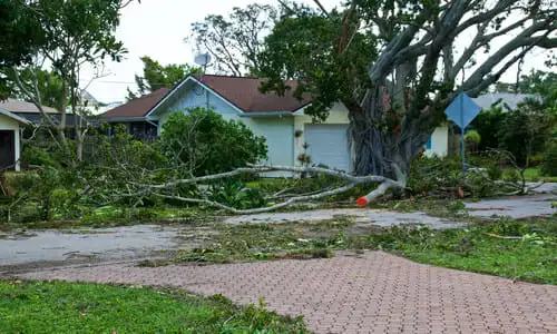 A Floridian house damaged by fallen trees during a hurricane.