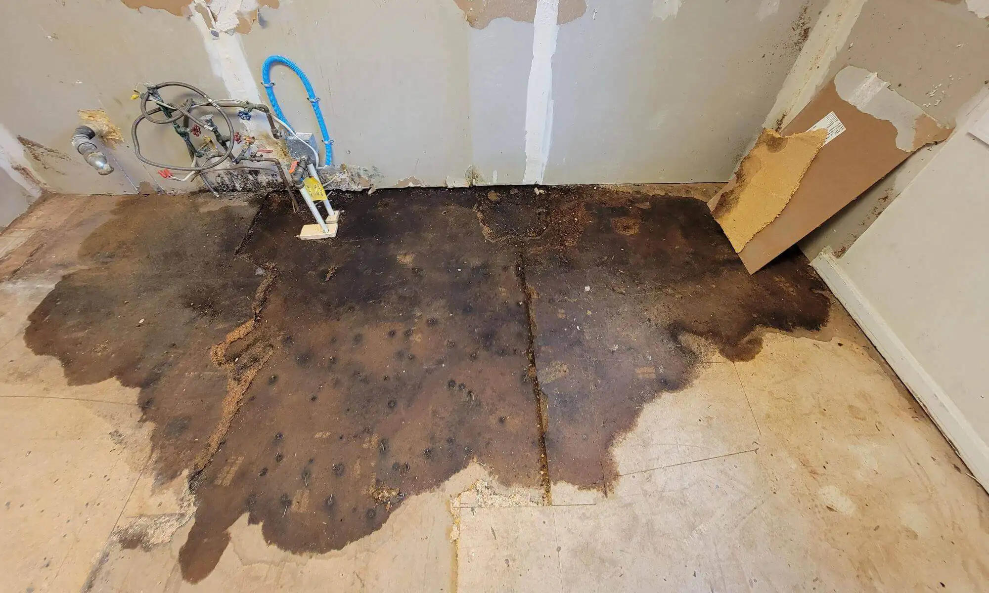 Water damage to the floor of a home caused by faulty plumbing under the house.