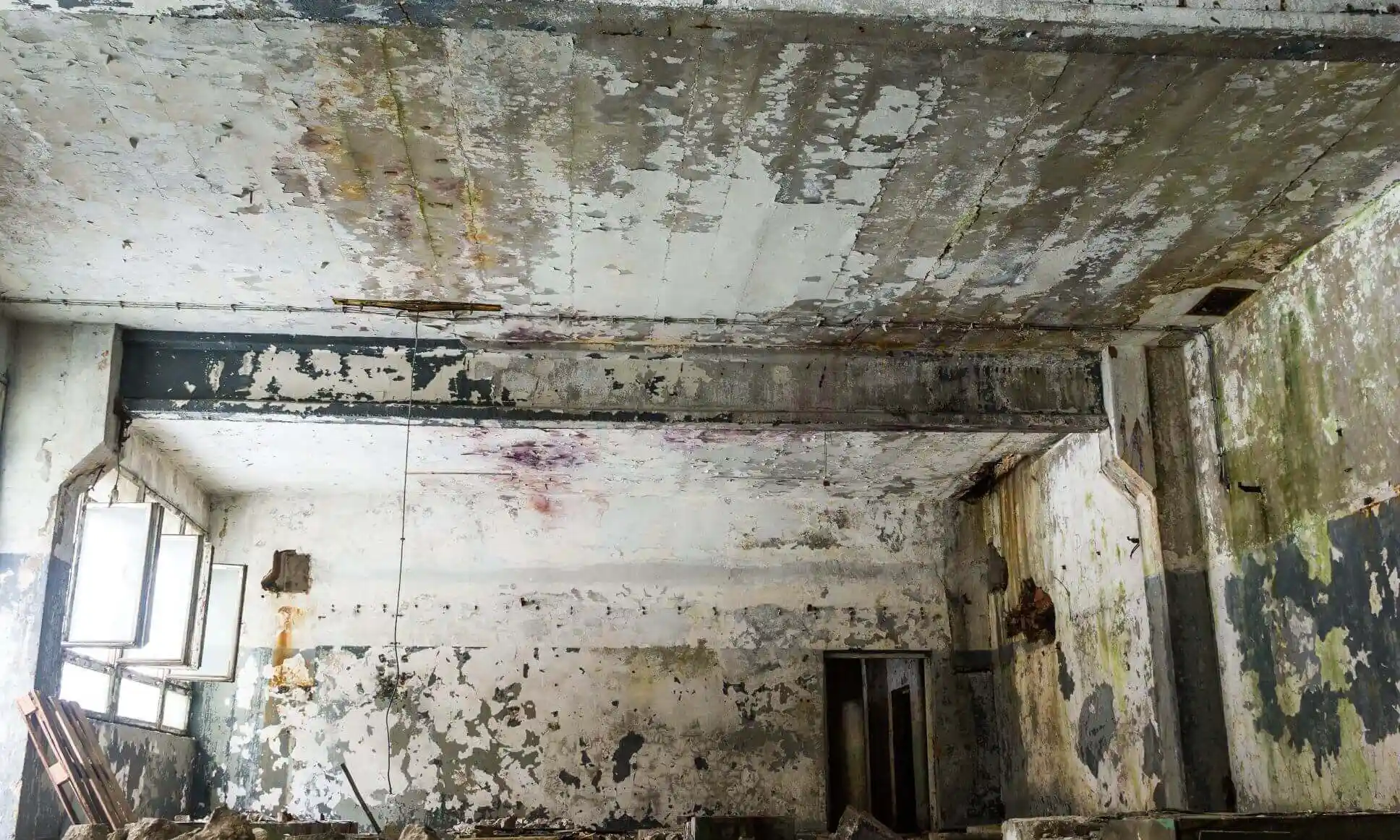 The moldy ceiling of a property damaged and empty after a hurricane hit the building.